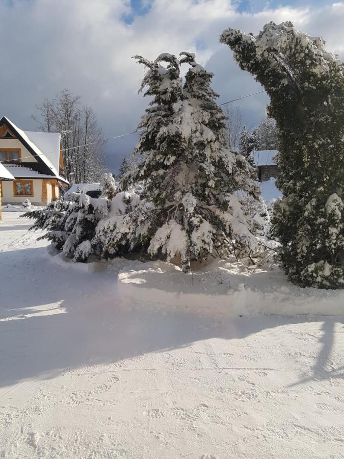 Tatrzanskie Domki Poronin Exteriör bild
